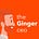 The Ginger CEO
