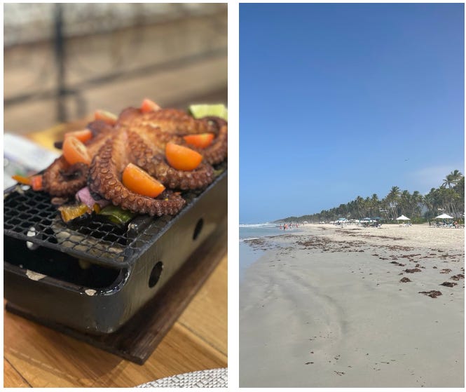 A grill on a beach

AI-generated content may be incorrect.