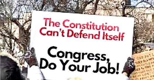 May be an image of 1 person and text that says '၂၇မြ The Constitution Can't Defend Itself Congress, Do Your Job! 双丽的'