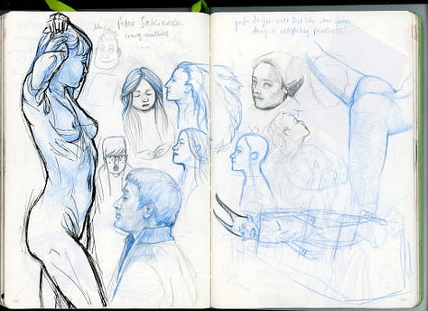 a collection of pages from Claire Donaldson's Sketchbooks
