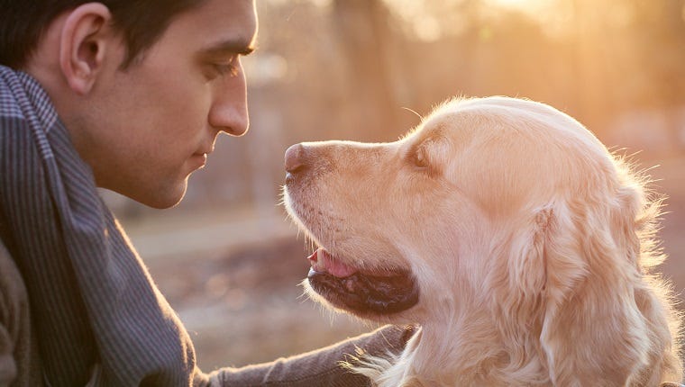 How Petting And Gazing Into Your Dog's Eyes Help You Bond - DogTime