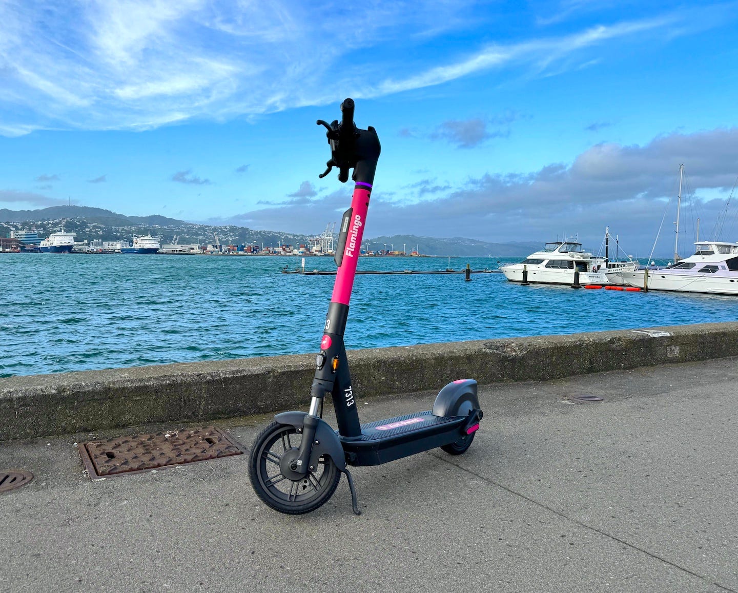 Flamingo Launches Latest Model Scooter in Wellington | Flamingo Flamingo Launches Latest Model Scooter in Wellington | Flamingo