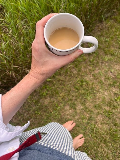 Six photos: one of a cockapoo walking through a field of wildflowers; some watercolour paints sitting by a window near a jug of flowers; a hummingbird moth visiting som bee balm; a rudimentary painting of a jar of jam and some blueberries; a person, barefoot, holding a mug of coffee, a dog leash around their neck; a book open in a lap, a dog sleeping on the couch beside them 