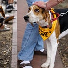 Contrarian Rescue of the Week
