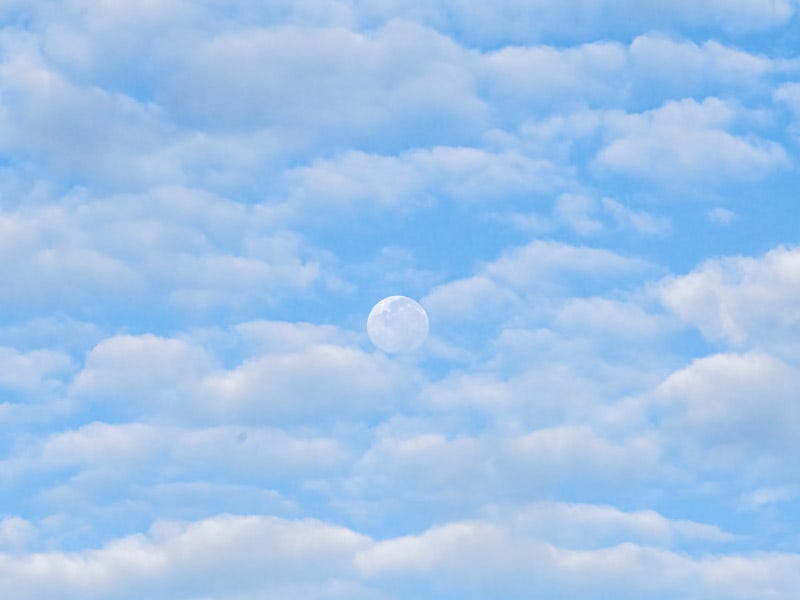 20260928-sgc-161-Edit.jpg