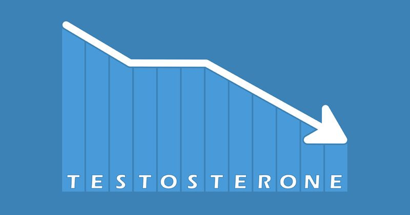 Testosterone graph Adobe