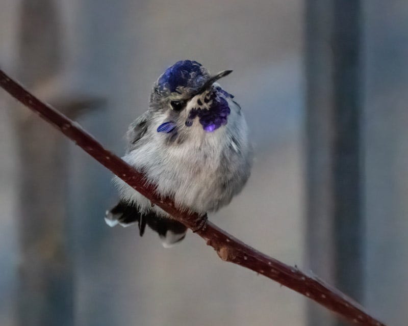 20250511-mby-11-Edit 2.jpg