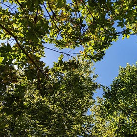 GTM: Go-to-Market & B2B SaaS Product Launch