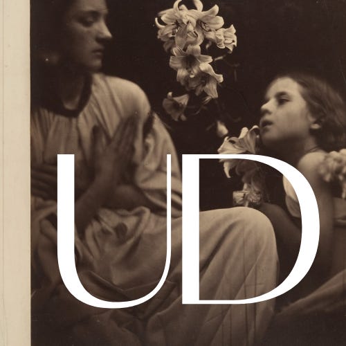 unravelling daydreams