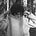 Bells Larsen's avatar