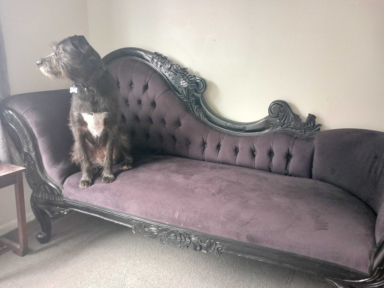 Black chaise longue with black dog sitting on it