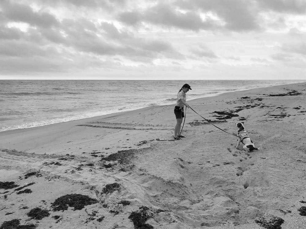 en las playas de Florida, una pequeña perra ayuda a los voluntarios a localizar los nidos de las tortugas para protegerlos
