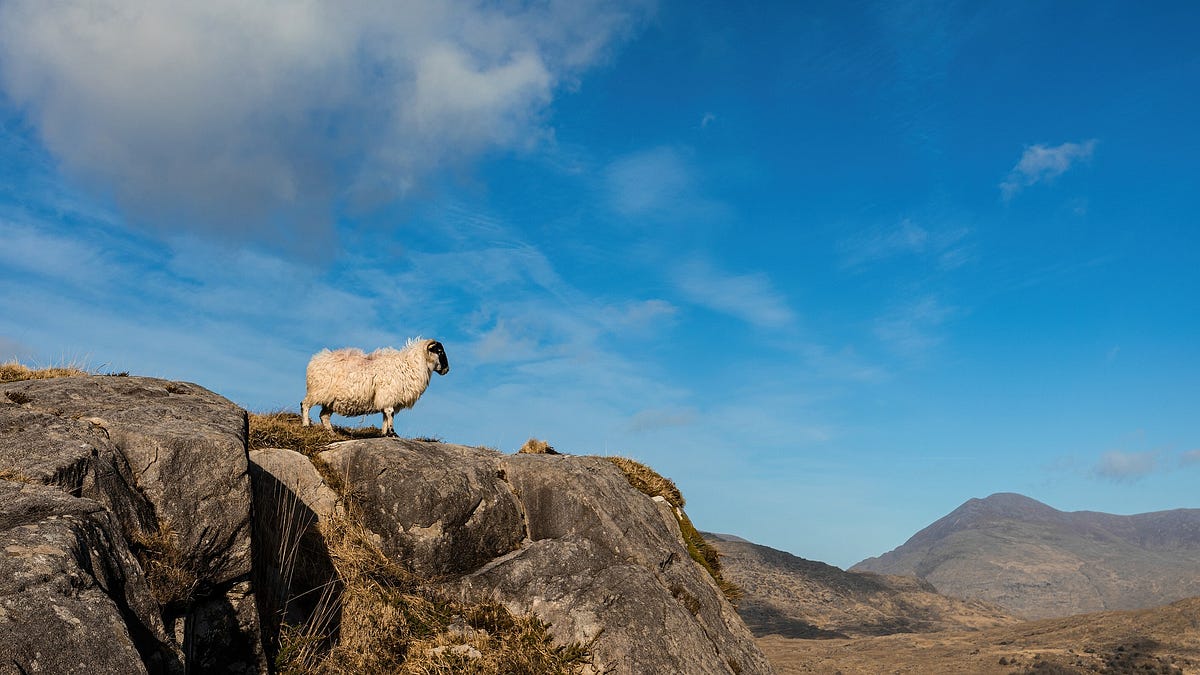 bmanalysis.substack.com