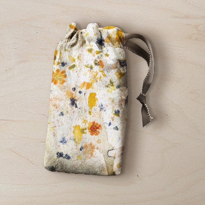 december classes- cyanotype and natural dye