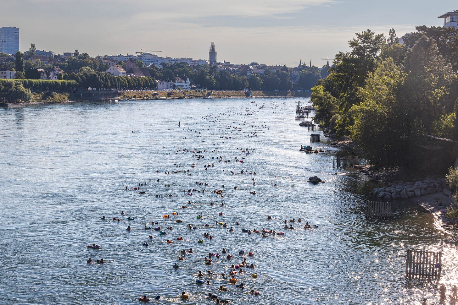 Long perspective of the Rhine, with about a hundred people swimming in the river on a sunny day