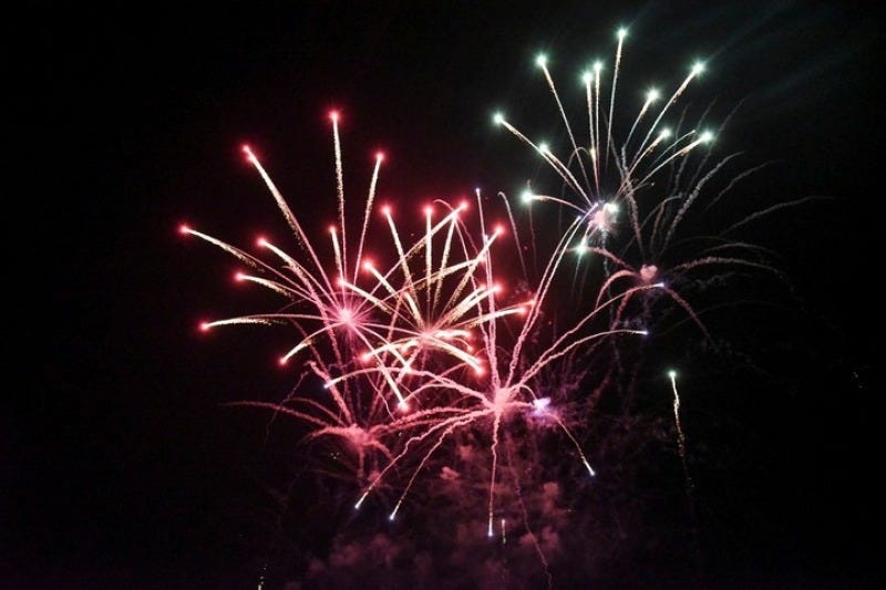 Navidad: indignación de rescatistas por el uso excesivo de pirotecnia :: Canal Verte