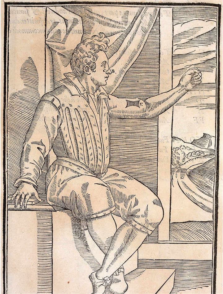 Images from Tagliacozzi's De curatorum per insitionem libri duo