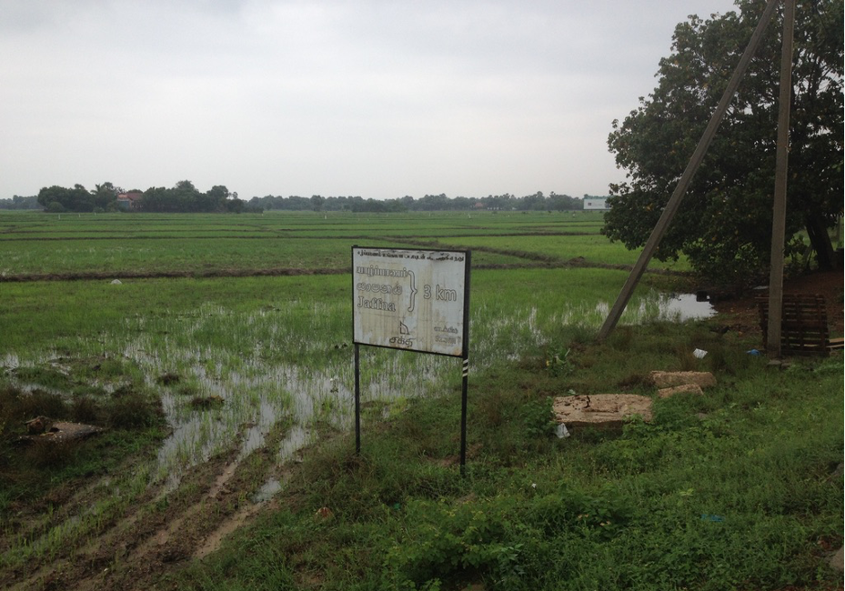 Letter from the Sri Lankan killing fields