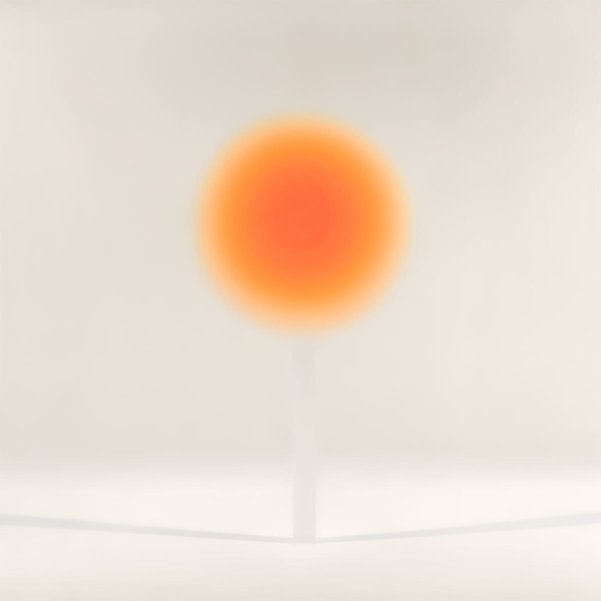 Helen Pashgian - Works | The Lapis Press