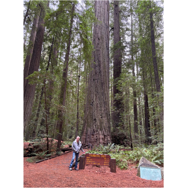 A person standing in front of a sign in a forest

AI-generated content may be incorrect.