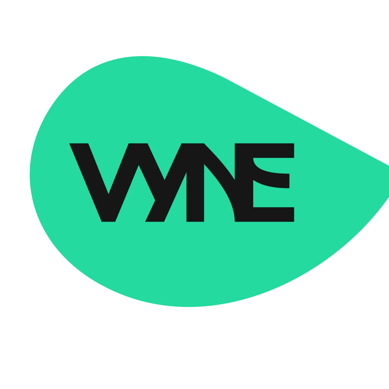 Substack profile picture for @vyne