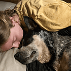 Social and training implications of giving our dogs affection