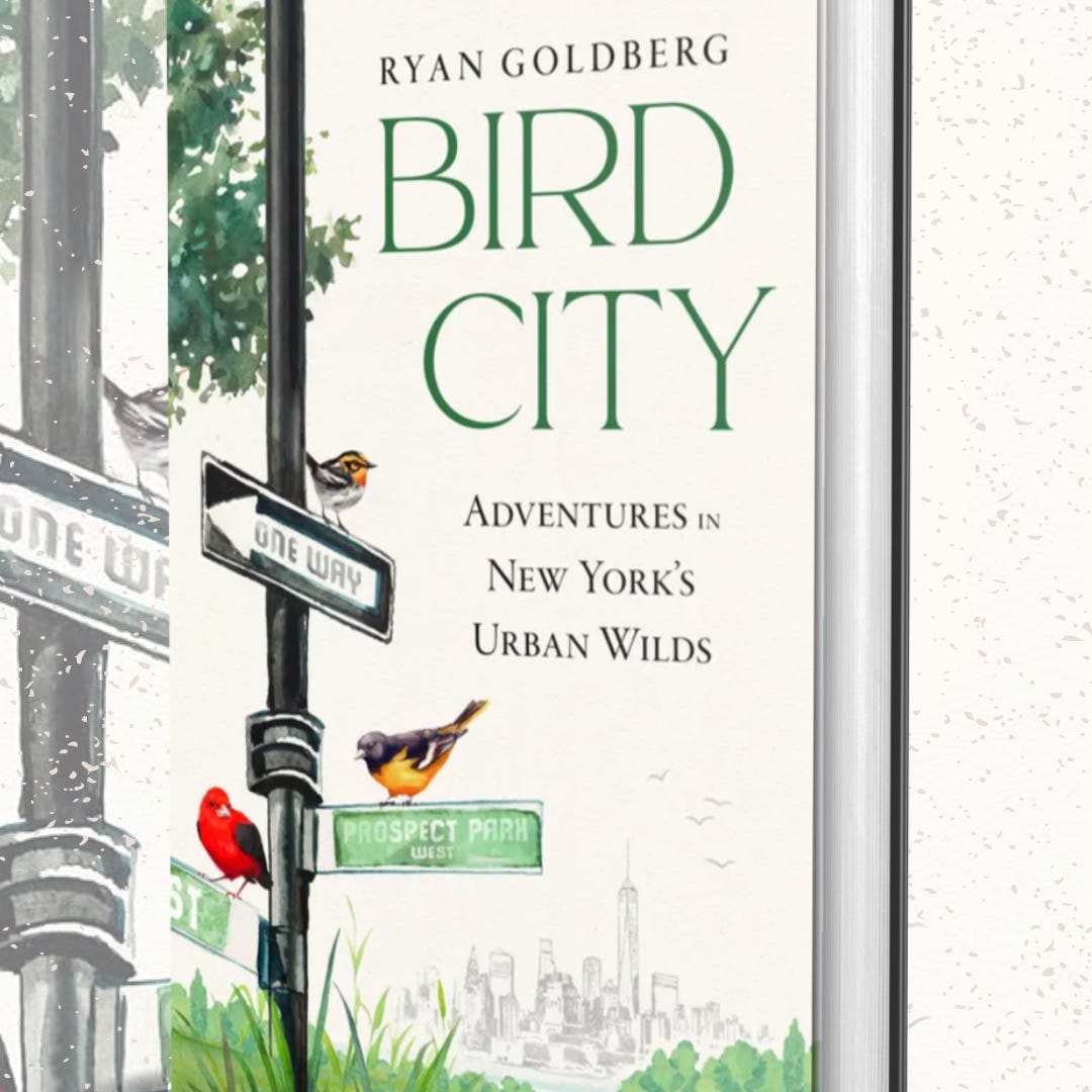 Ryan Goldberg's Field Notes