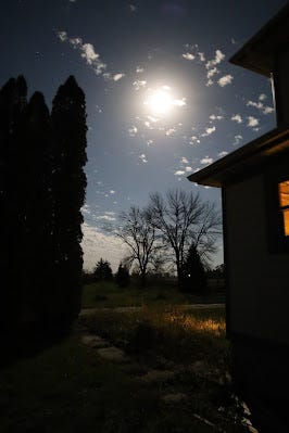 The moon shining on the Genuine Faux Farm