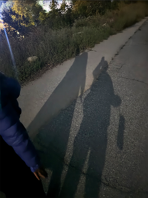 A tiny pinpoint of yellow-green bioluminescent light glowing in dark forest undergrowth, surrounded by dry twigs and roots, with electric blue light trails from a flashlight arcing across the frame.  Two long shadows of people stretch across a cracked concrete path at night, cast by bright moonlight. Wild brush lines the edge of the trail. A blue jacket is visible at the left edge of the frame. A single white moon flower glows luminously against a pitch black night sky, lit by a flashlight beam. The trumpet-shaped bloom radiates light like a small moon among dark tangled branches and blue-tinted leaves.