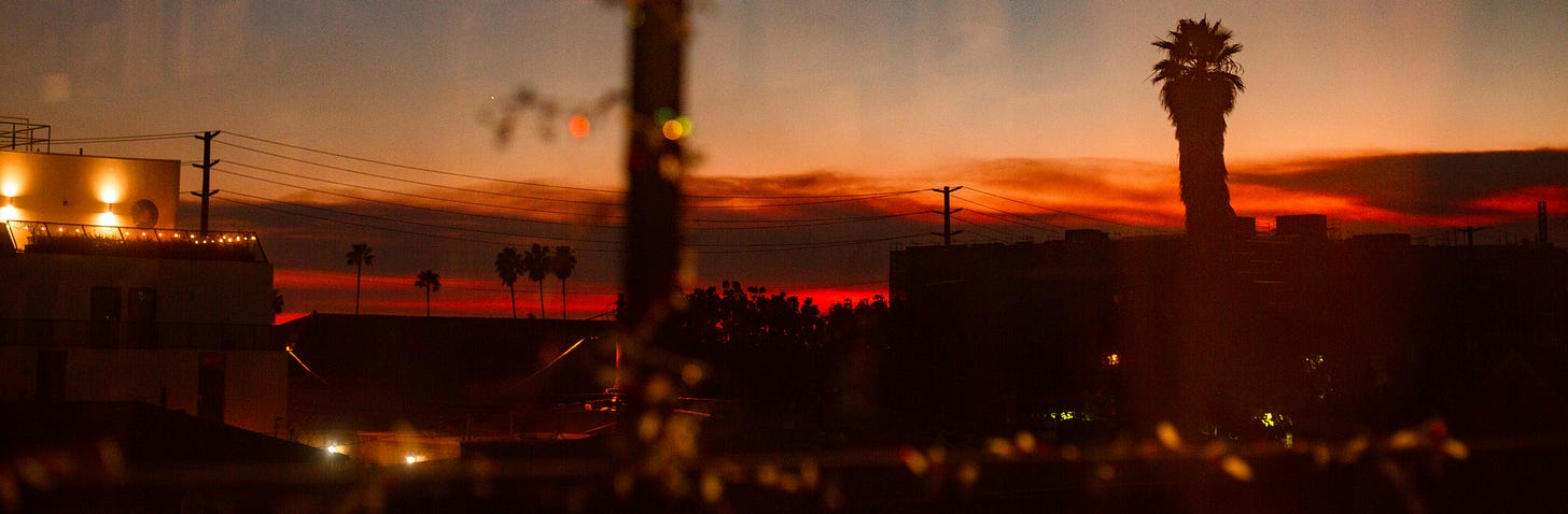 An LA horizon with palm trees and a deep red glow from the fires - the foreground is out of focus as the photo is taken through a window and you can see garland on the patio railing outside