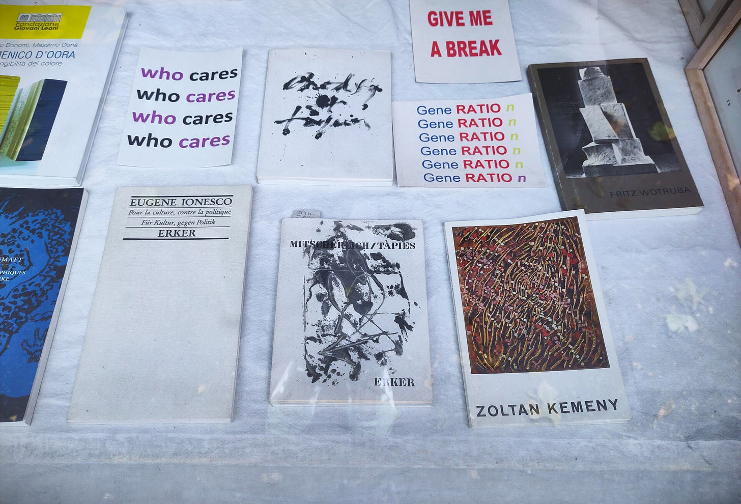 Fotografia di una vetrina dove sono esposti libri con copertine molto diverse e dei fogli di carta con delle scritte in inglese