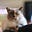Spanner’s Cat's avatar