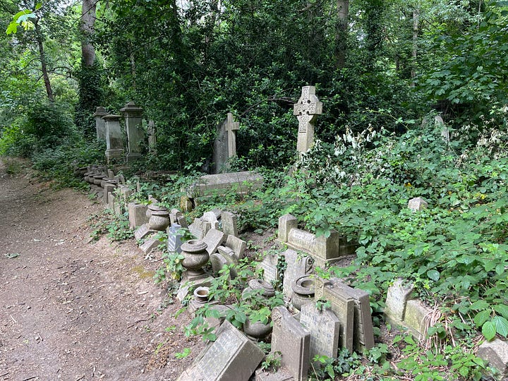 Rows of tiny headstones pressed up against each other
