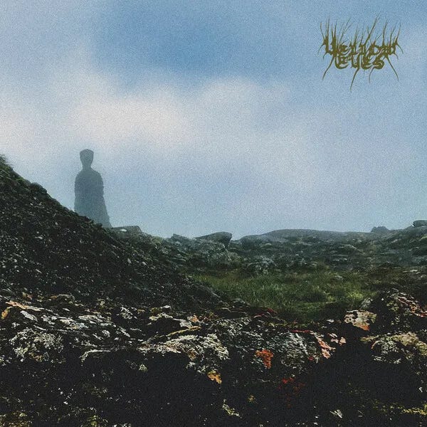 Cover art for Confusion Gate by Yellow Eyes