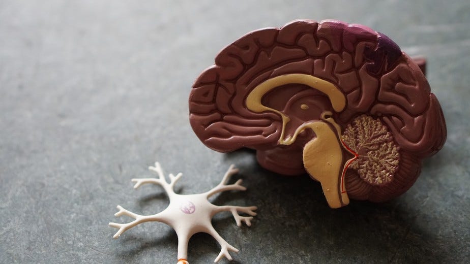 Alzheimer: nova droga reduz em até 60% declínio cognitivo da doença em  estágios iniciais, anuncia farmacêutica
