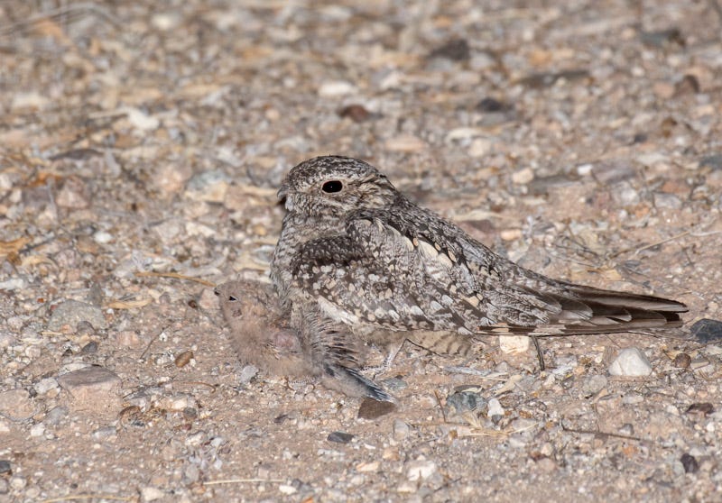 20200623_LN-93-Edit.jpg 20200623_LN-93-Edit.jpg