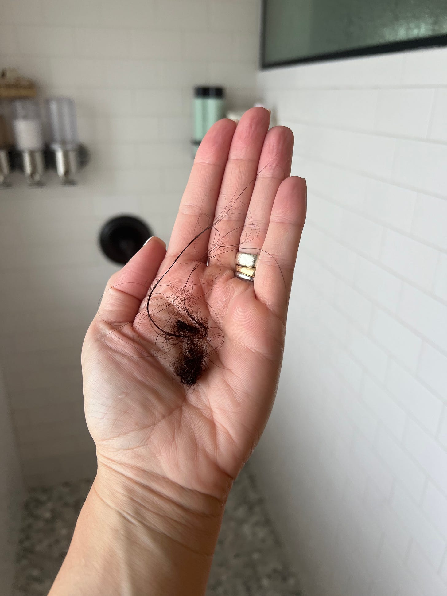 Close-up of a woman's hand in a shower holding loose strands of fallen hair against a white tiled background. Close-up of a woman's hand in a shower holding loose strands of fallen hair against a white tiled background.