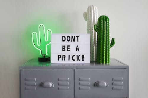 Free Green and White Cactus Table Decor on Gray Steel File Cabinet Stock Photo