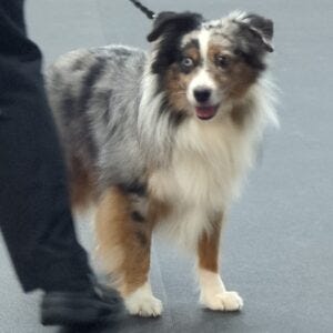 Garrett showing off during class Garrett showing off during class