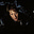 ra's avatar