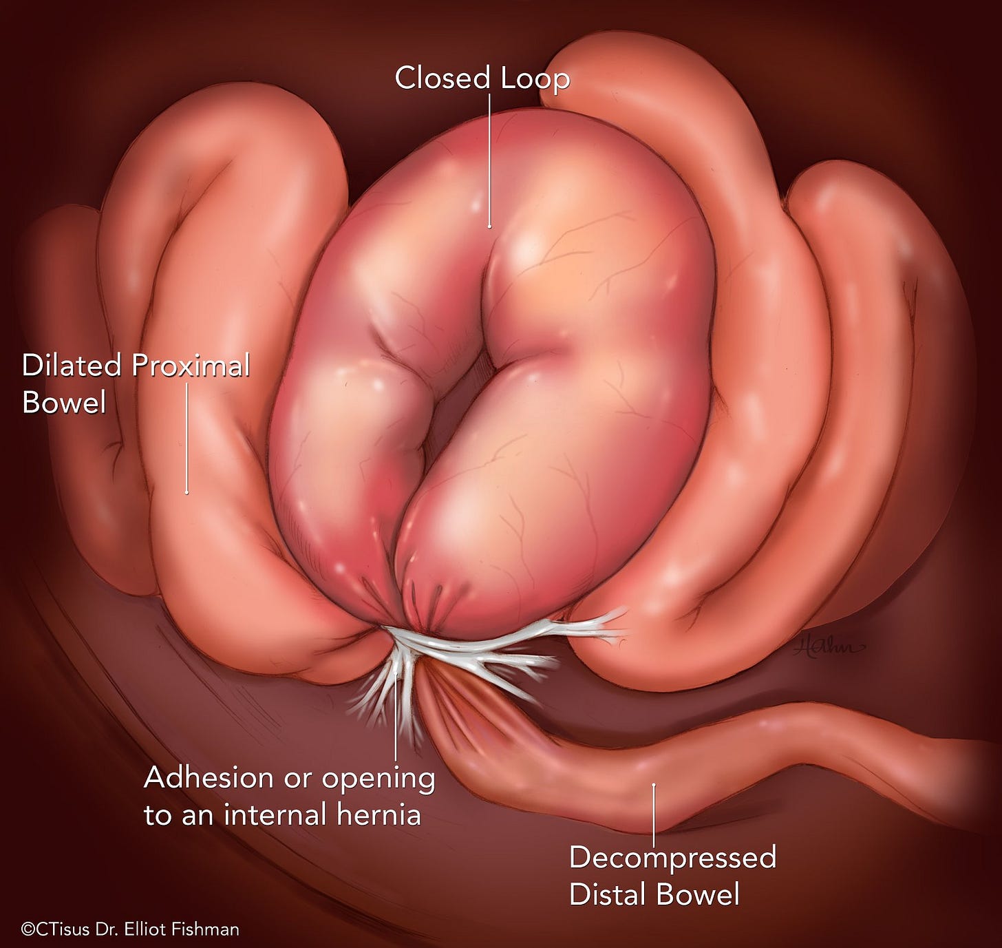 No photo description available. No photo description available.