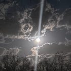 On Beauty & Being Here