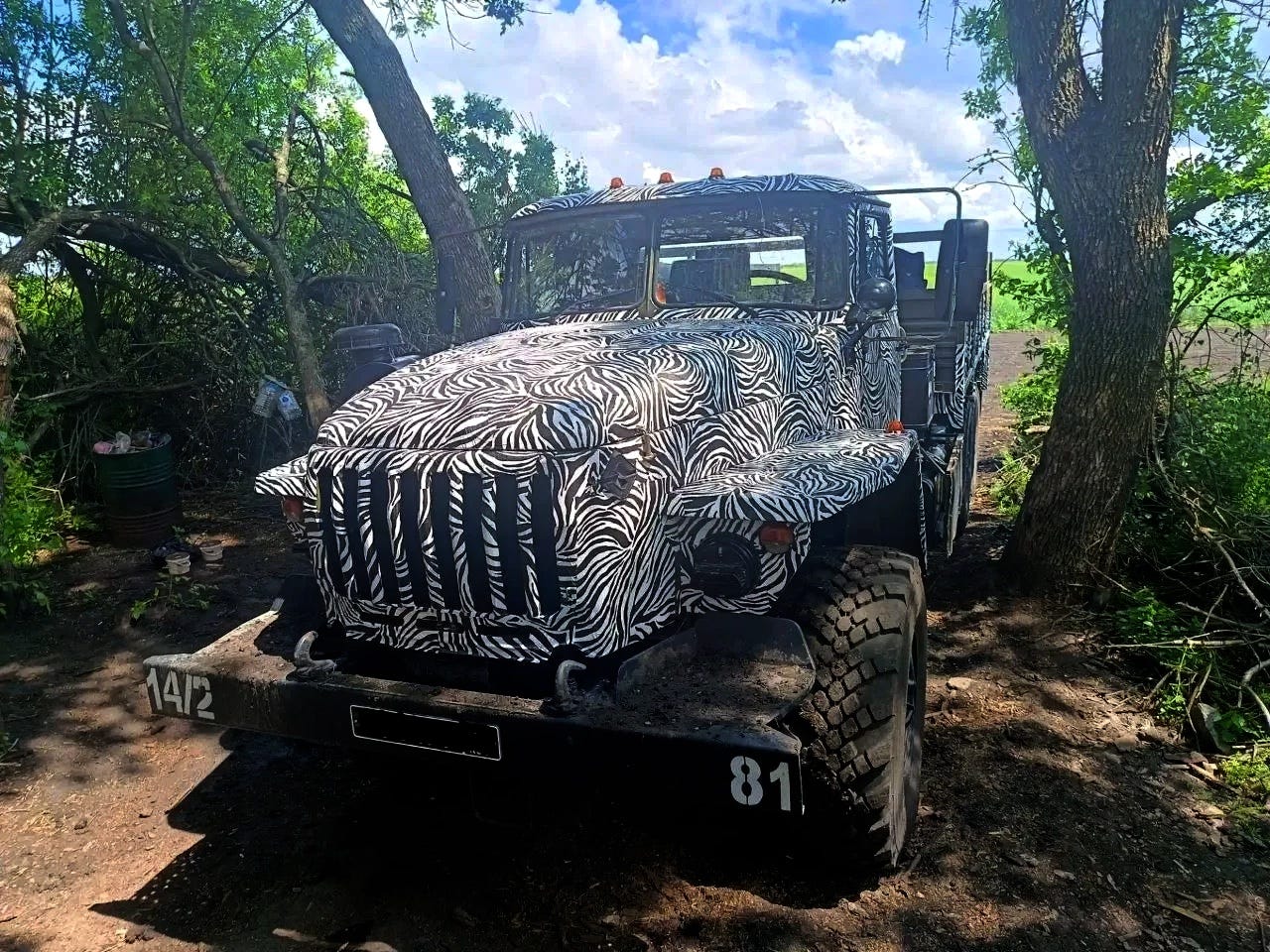 ZebraTruck_01.jpg