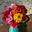 Shasta Rose's avatar
