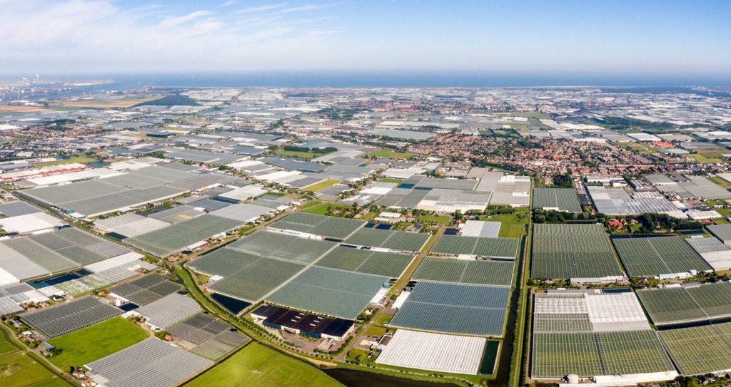 Westland Horti Tours