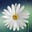 Fleur Eshuis's avatar