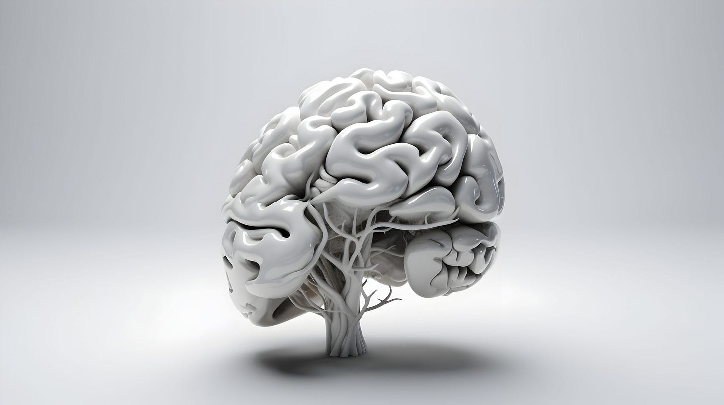 Human,Brain,On,A,White,Background.,3d,Rendering,,3d,Illustration. Human,Brain,On,A,White,Background.,3d,Rendering,,3d,Illustration.
