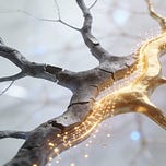 Buchdialoge 📚 Zusammenfassungen per Podcast