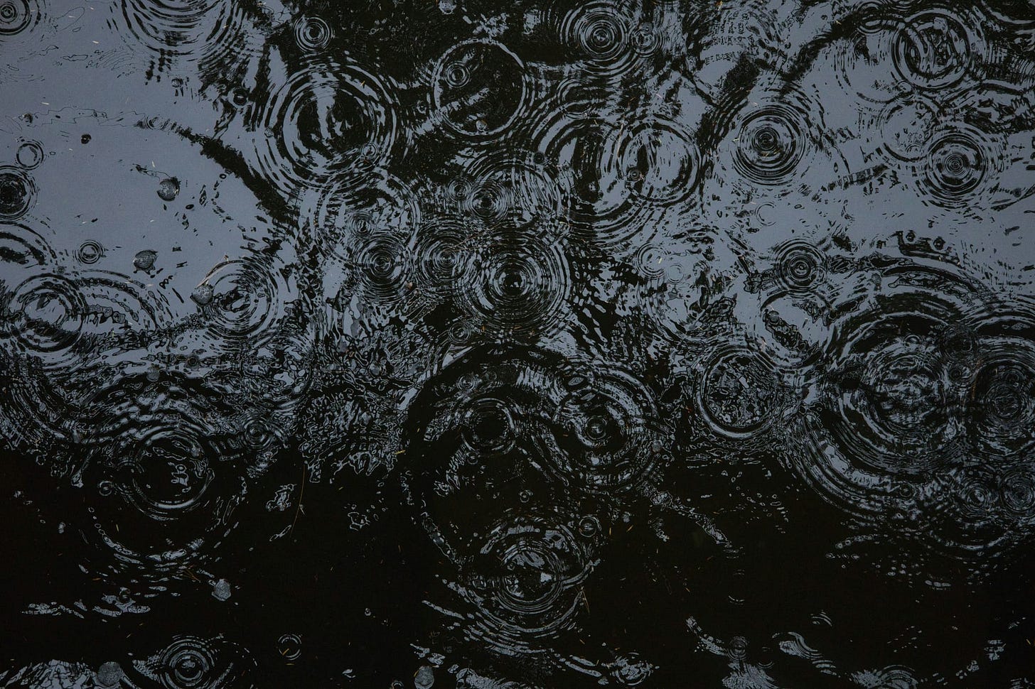 Raindrops falling on dark water, with ripples spiraling outward Raindrops falling on dark water, with ripples spiraling outward