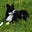Wendy MalliStone's avatar